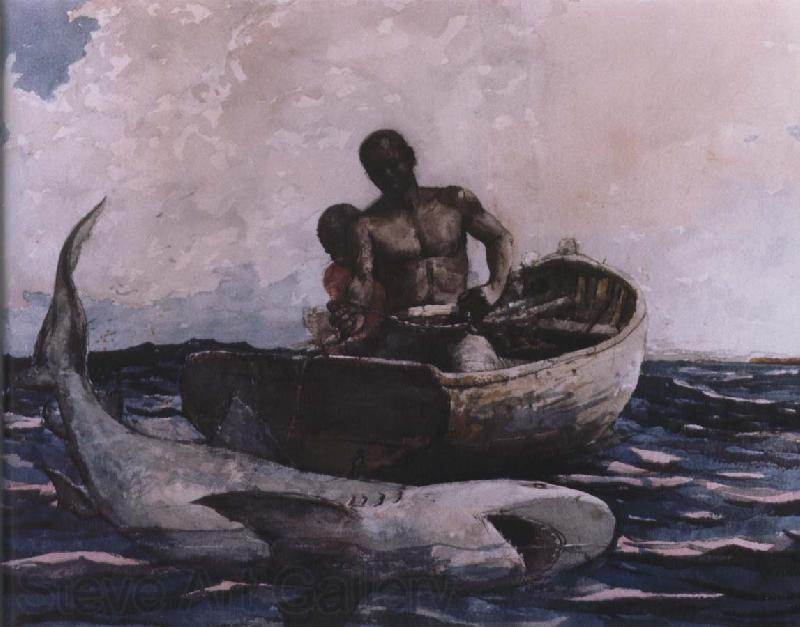 Winslow Homer shark fishing Norge oil painting art